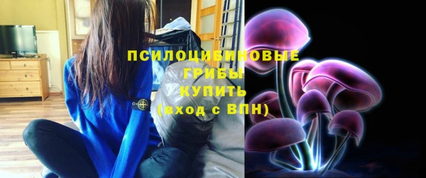 mdpv Пересвет