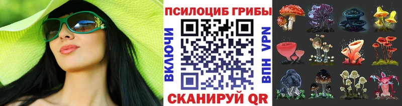 Псилоцибиновые грибы Psilocybine cubensis  как найти закладки  Ступино 