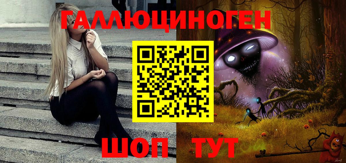 Галлюциногенные грибы Psilocybe Ступино